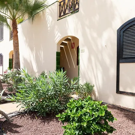 Peaceful Premium طوستا ديل سيلونثيو